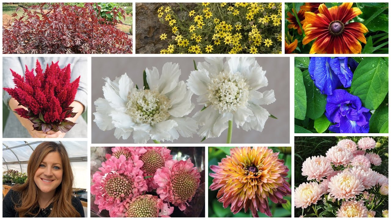 Сажаем целый букет семян цветов для срезки в саду! 🌸🌿🌼 // Garden Answer