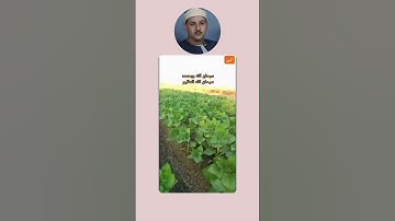 قرآن كريم بصوت الشيخ/محمود علي البنا رحمة الله عليه و علي والديه....
