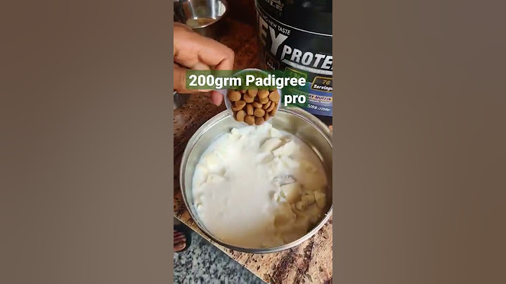 German shepherd 6 months puppy diet 🍲🥣🥚