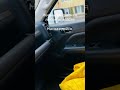 Жизнь прекрасна