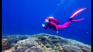 MANTA RESORT: diving at Pemba Island, Zanzibar, by DIVING SPECIALS