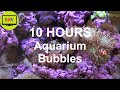 10 Hours Aquarium Sleep Sounds, Bubbles In Fish Tank Sound Effect