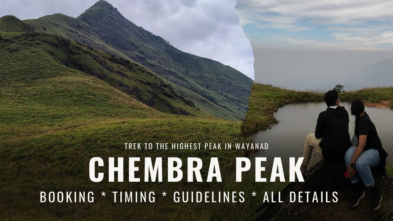 Chembra Peak Trekking | Everything You Need to Know Before You Go | Complete Trek Guide | Wayanad
