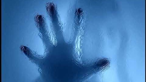 Windows XP ZverCD (2007) Wallpaper