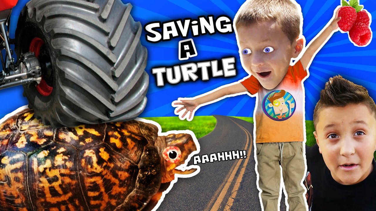 WE SAVED AN INJURED TURTLE!! (FUNnel Vision Pet Smart Habitat Vlog) - WE SAVED AN INJURED TURTLE!! (FUNnel Vision Pet Smart Habitat Vlog)