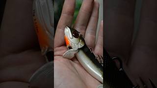 Have You Seen The Westin Twinteez Pelagic Lures?