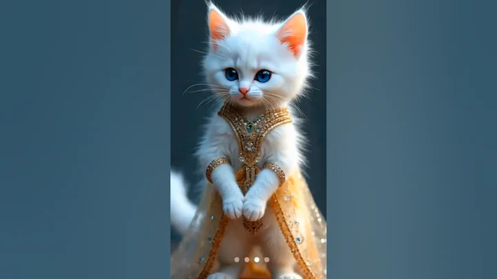 Video 11049011: cat funnycats love, cat funny love