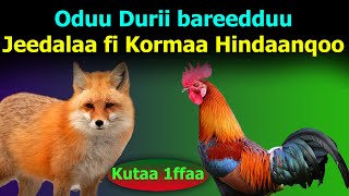 Oduu Durii | Jeedalaa fi Kormaa Hindaaqqoo | Urjii Creativity