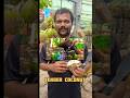 കരിക്ക് ആൽക്കഹോളിൽ മിക്സ് ചെയ്യാൻ പാടുണ്ടോ#karikku#viral #shorts#trending #travel#love #viralvideo
