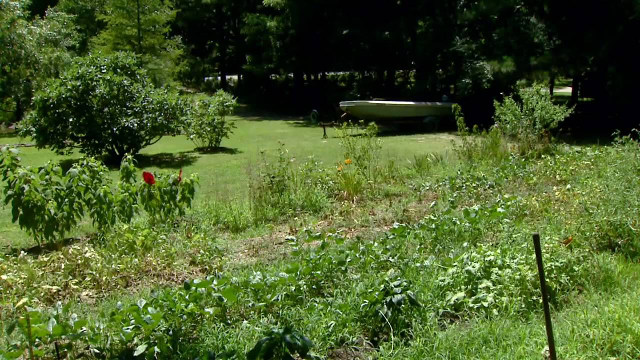 The Home Garden of Sarah Thompson -- Ardmore, OK
