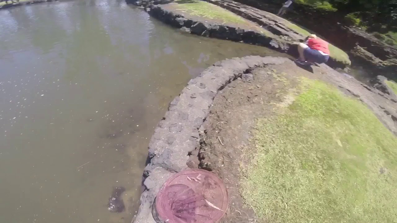 Family fun and fishing YouTube