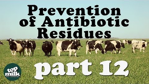 12. Prevention of Antibiotic Residues