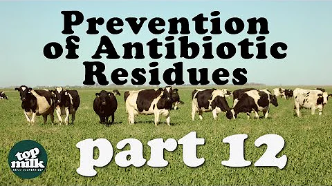 12. Prevention of Antibiotic Residues