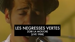 Les Négresses Vertes - Zobi La Mouche - 13/10/1988 - Décibels (FR3) chords