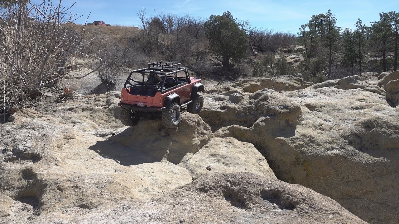 Theibault's Vlog 6 Every Dingo has it's day!