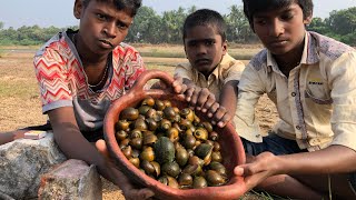 உடல் சூட்டை போக்கும் நத்தை கறி வறுவல் | Piles treatment in Tamil | Snail Curry Roast | Kari Satti