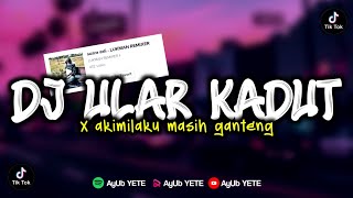 DJ ULAR KADUT X AKIMILAKU MASIH GANTENG VIRAL TIKTOK MENGKANE