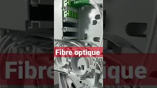 la fibre optique الألياف البصرية