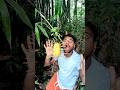 "Unbelievable Forest Gloves Hack Using Nature! 🌿🧤 #SurvivalHacks"