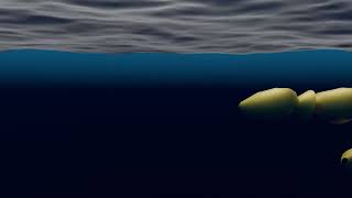 fish in ocean blender test