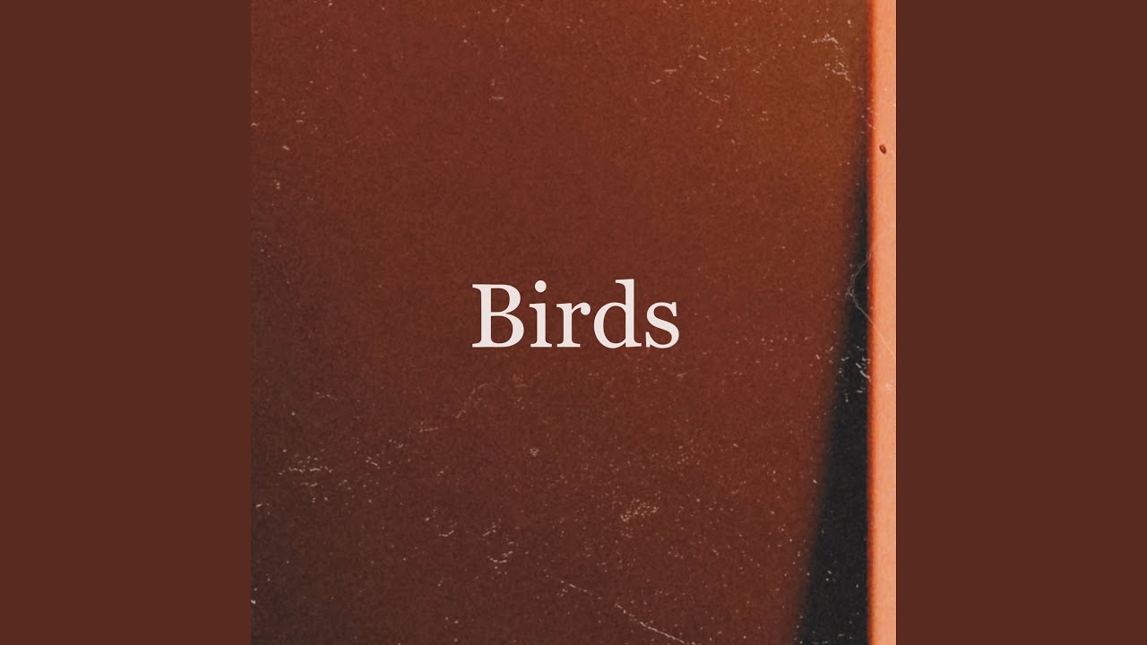Watch Birds on YouTube Watch Birds on YouTube