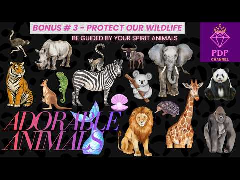 BONUS # 3 TEASER REEL - ADORABLE ANIMALS