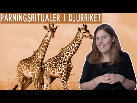 Video: Hur Man Fångar Uppmärksamhet