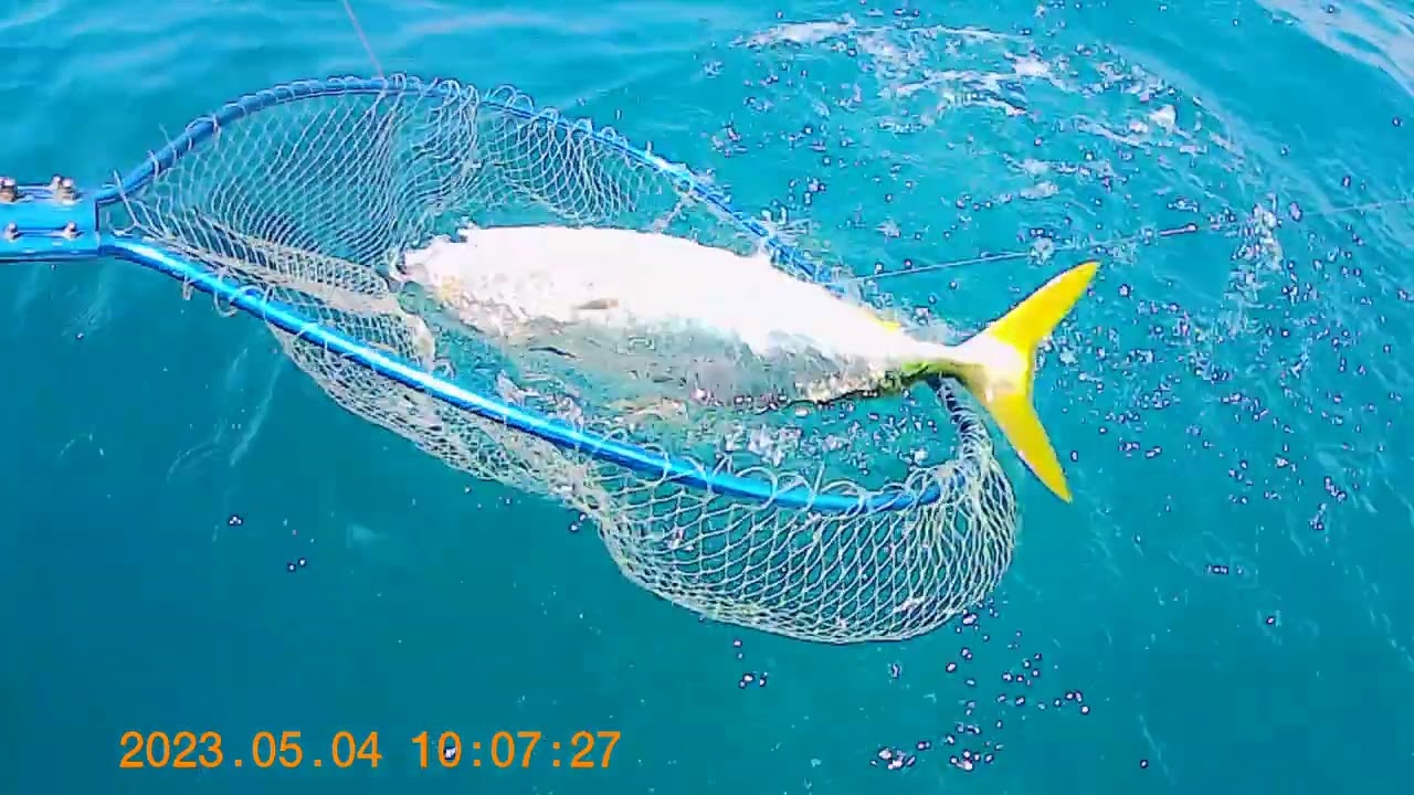 益田港、大和丸。