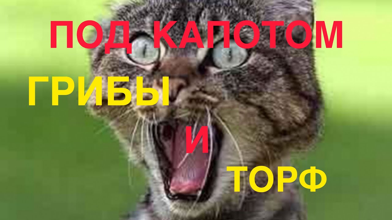 Не захлопывается капот