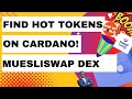 Find Hot New Tokens On Cardano - Muesliswap Dex