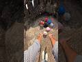 Football Thrown into a Hidden Mystery Pit⚽☠️ #parkour #football
