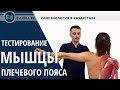 Диагностика мышц плечевого пояса. Для спортсменов пригодится!