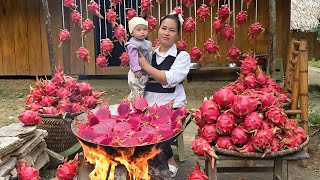 Download Lagu COOKING DRAGON FRUIT: How To Make Steamed Buns, Sticky Rice Cakes, Jelly, \u0026 Dragon Fruit Juice. MP3