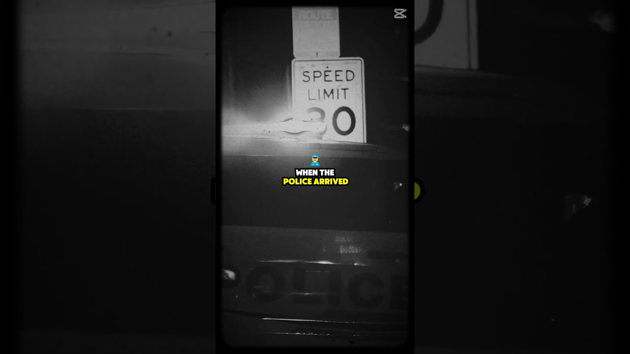 the murder that solved itself 