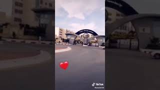 جامعة محمد لمين دباغين سطيف 2 💛
