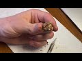 I cut open a crested gecko egg look what is inside  diy reptiles