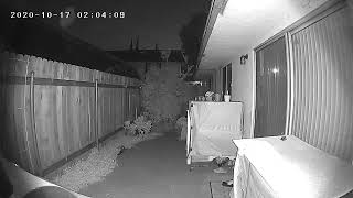 Eerie flying Orbs caught on my patio cam (recorded almost 2 yrs ago around 2am)