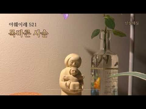 [야훼이레 521번] 목마른 사슴 / 신실세실 / Catholic Hymn / 마음의 묵상이 되는 성가
