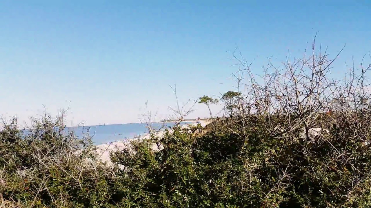 Horn island mississippi YouTube