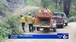 The Idaho Transportation Department is Planning to Remove Hazard Trees on The Road