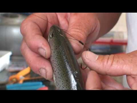 How To Rig A Stinger Hook On Any Big Soft Swimbait! Simple And Easy! 