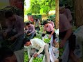 fresh fruits ASFC