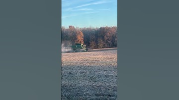 Combining soybeans