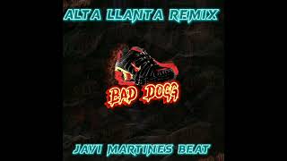 siempre rocho rkt remix - Bad Dogg x javimartiness x kamak
