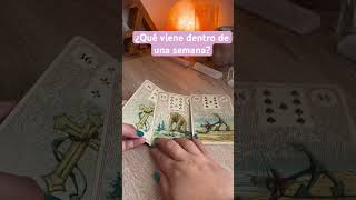 Mensaje para ti #tarot #mensajetarot #lenormand