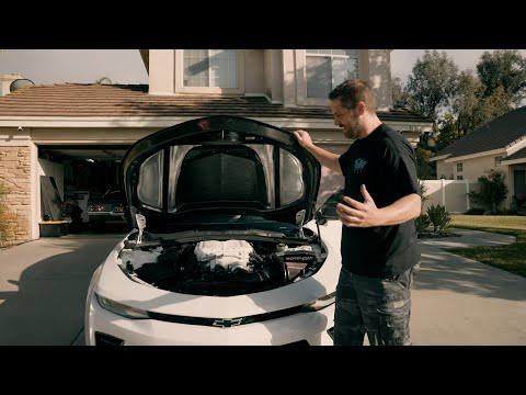 Horsepower Junkies - Lethal Garage | Stainless Works