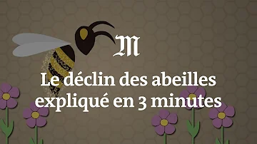 Pourquoi les abeilles sont en voie de disparition ?