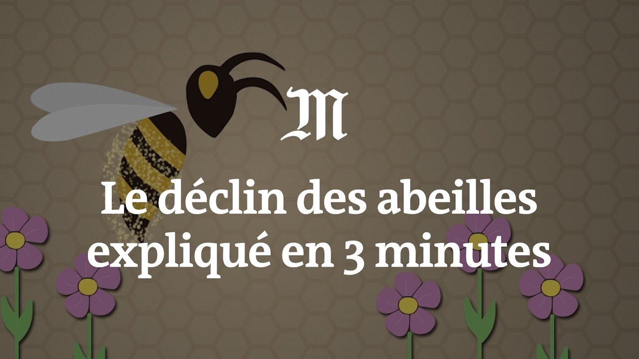 Le Declin Des Abeilles Menace La Consommation De Cafe Et De Chocolat Midilibre Fr