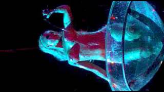 gogo Privilege Supermartxe Ibiza 17-09-2010.mp4
