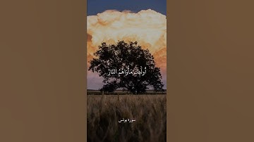 إِنَّ الَّذِينَ لَا يَرْجُونَ لِقَاءَنَا وَرَضُوا بِالْحَيَاةِ   سورة يونس   علي جابر